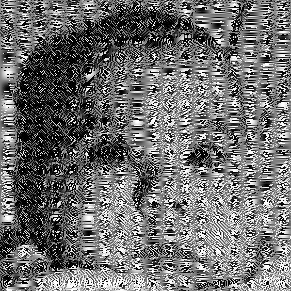 Alucinaciones en familia Alucinaciones en Familia