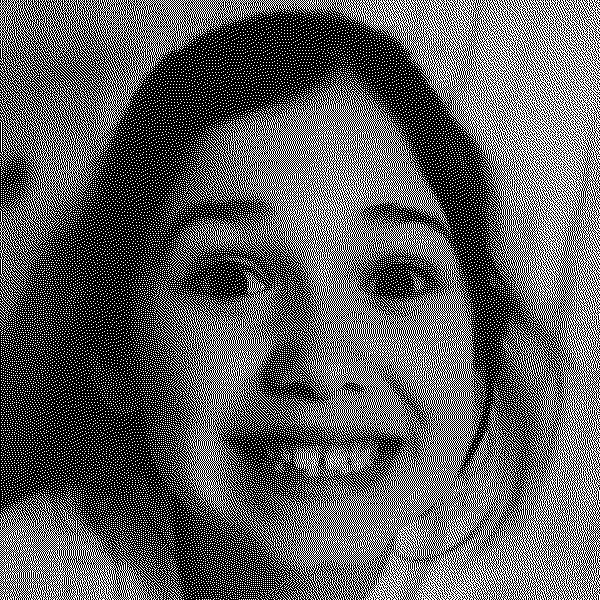 Alucinaciones en familia Alucinaciones en Familia II
