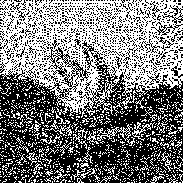 Audioslave Audioslave