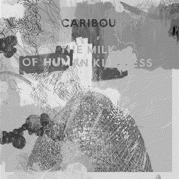 Caribou The Milk of Human Kindness