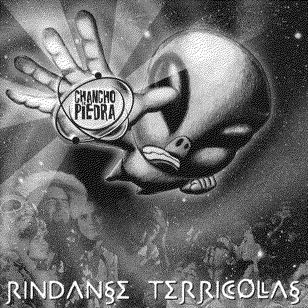 Chancho En Piedra Rindanse Terricolas