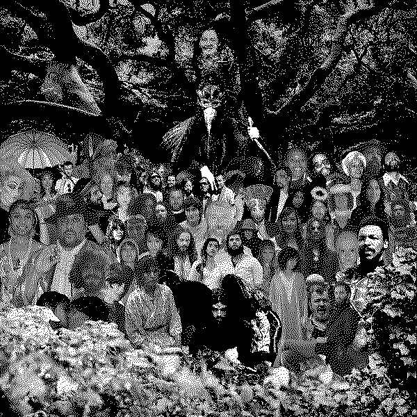 Devendra Banhart Cripple Crow