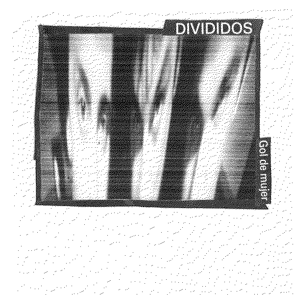 Divididos Gol De Mujer