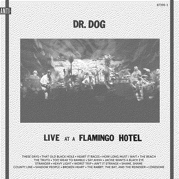 Dr. Dog Live at a Flamingo Hotel