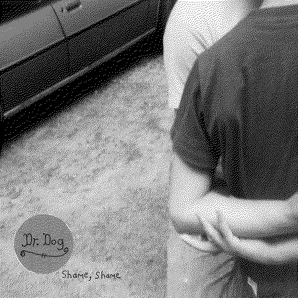 Dr. Dog Shame, Shame (Deluxe Edition)