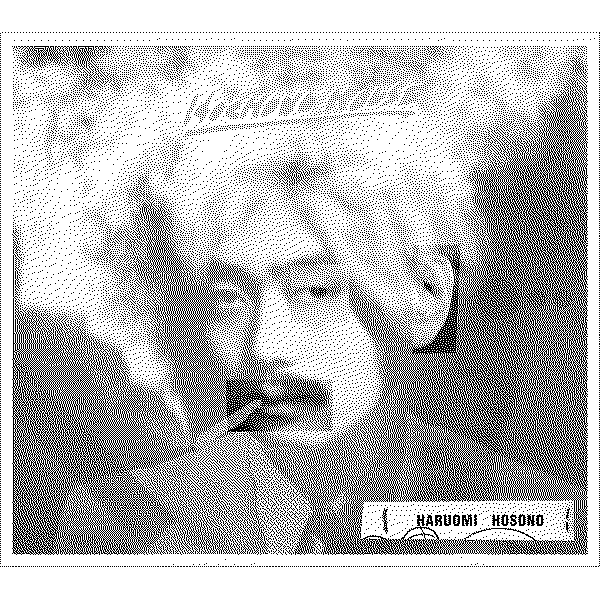 Haruomi Hosono HOCHONO HOUSE