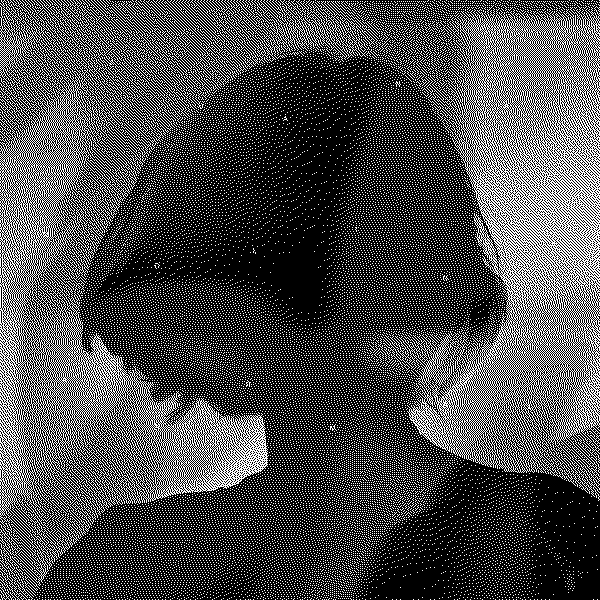 Juana Molina ANRMAL