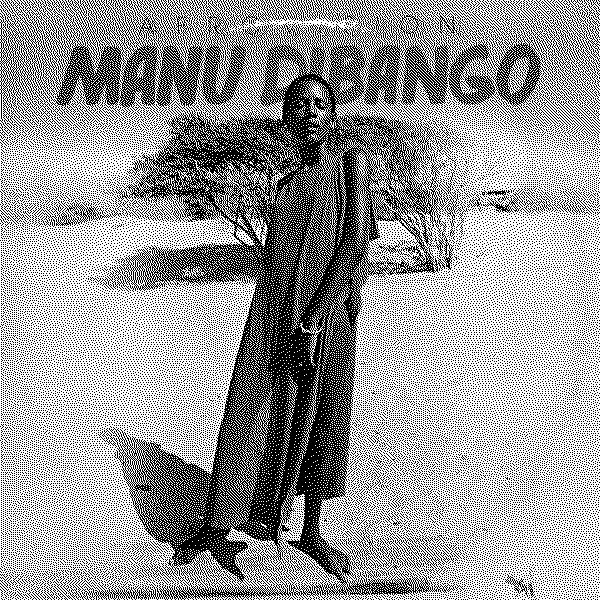 Manu Dibango Afrovision