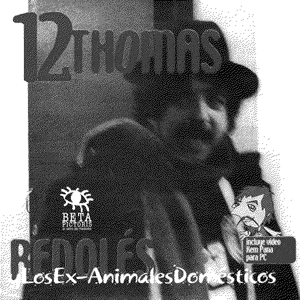Mauricio Redoles 12 Thomas