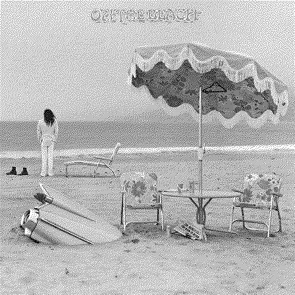 Neil Young On the Beach