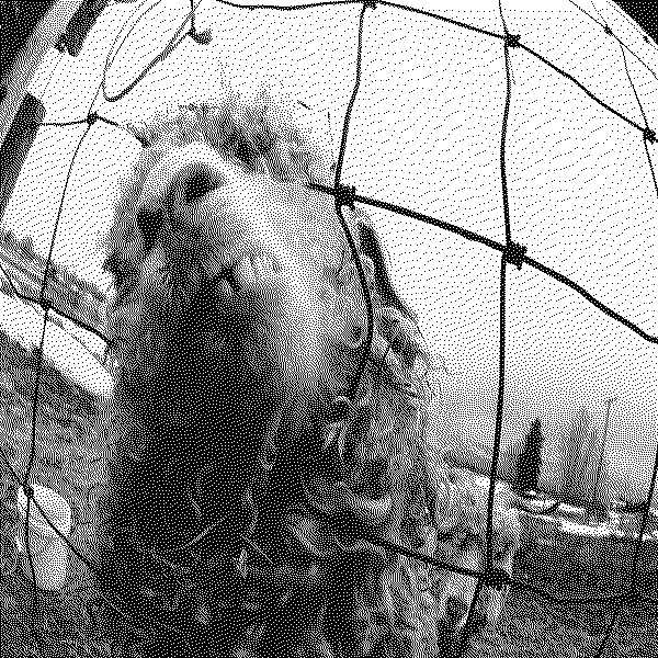 Pearl Jam Vs.