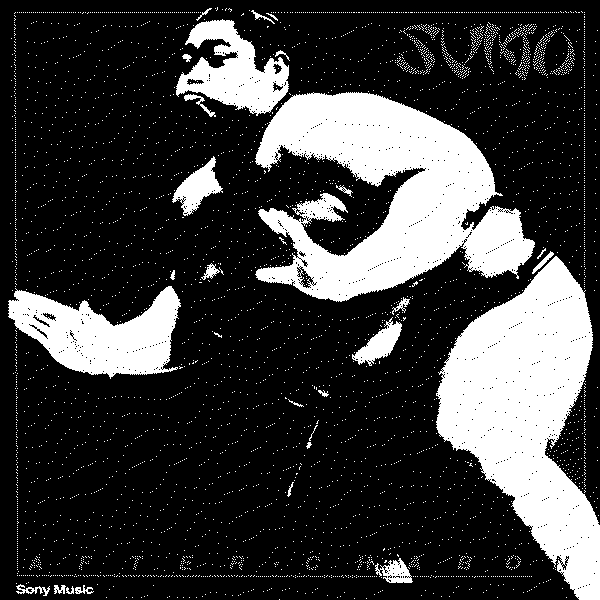 Sumo After Chabon