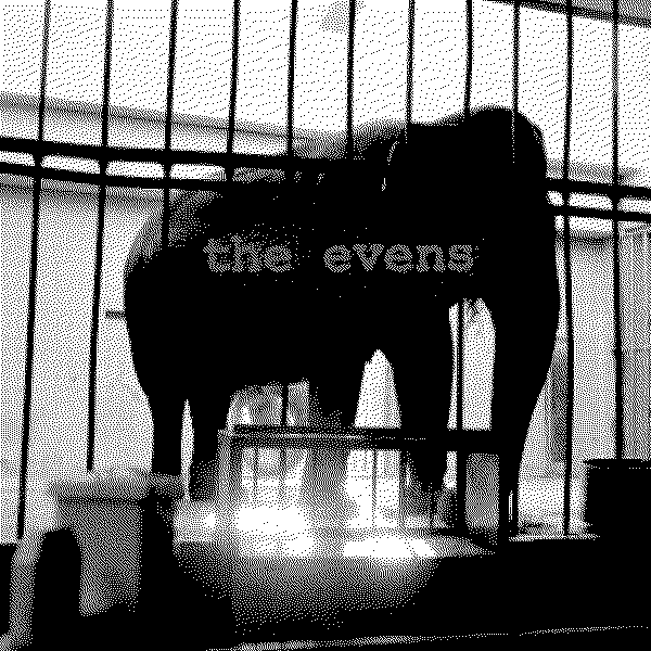 The Evens S/t